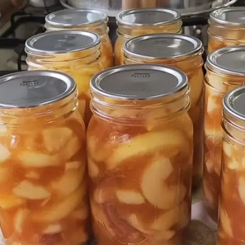 Canning Apple Pie Filling Recipe